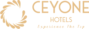 ceyone-logo